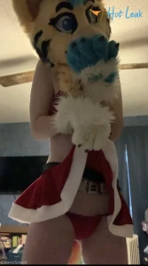 7743116