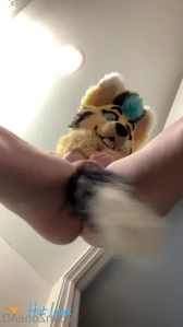 7772762