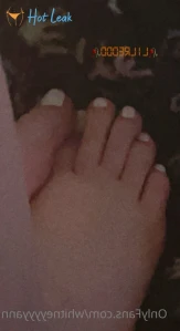 2582979