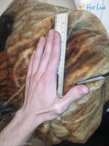 2585955