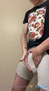 4637982