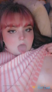 11305337