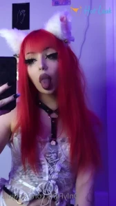 10584008