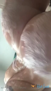 4977336