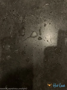 5204409