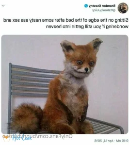 10898205