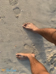 5261593
