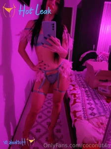 11788173