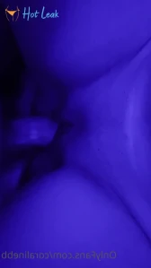 4995690