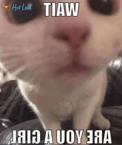 5622055