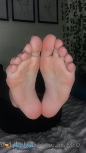 8729026