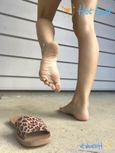 11753016