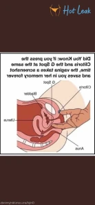 5123767