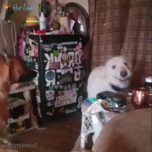 11416575