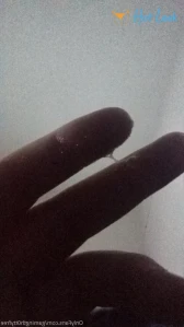 5560586