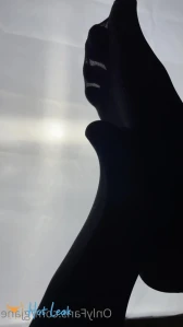 5081550