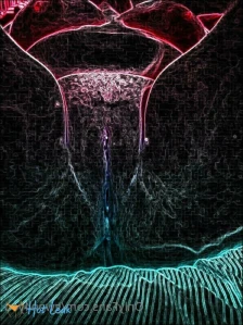 5596532
