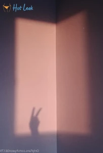 5578453