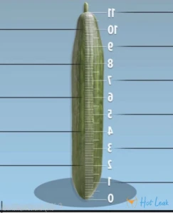 5573271