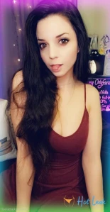 9187847