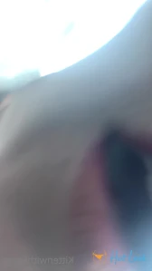 5163954