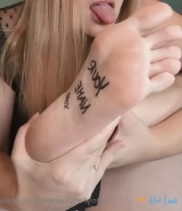 5425365