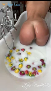 5186518