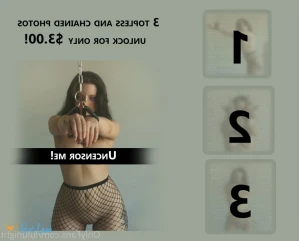 5386598