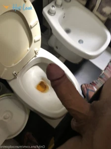5438569