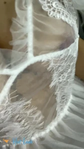 10566798