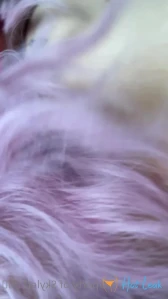 10566818