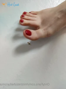 5442824
