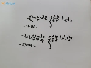 4620619