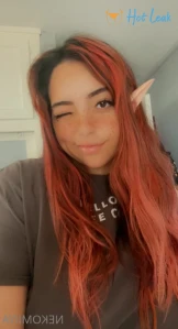 8667196