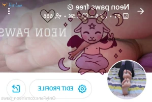 5273603
