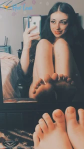 5350241