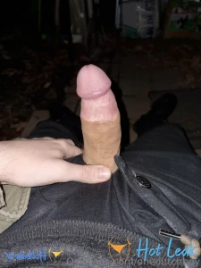11796725