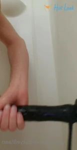 5291751