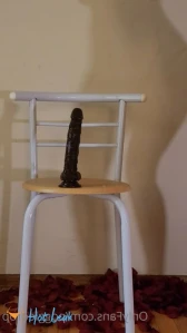 10703834
