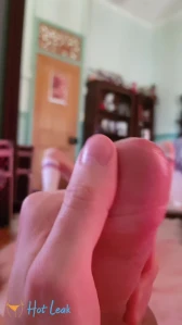 5294182