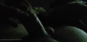 5297754