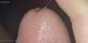 5297953