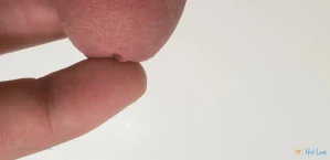 5298005