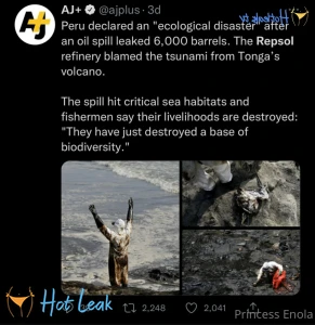 11772691