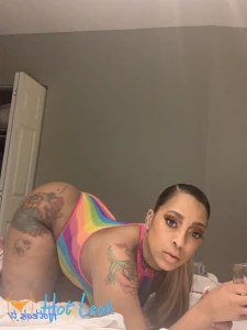 11581623
