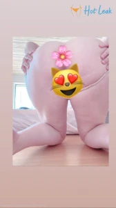 5294563