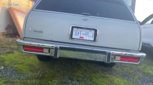 5323198