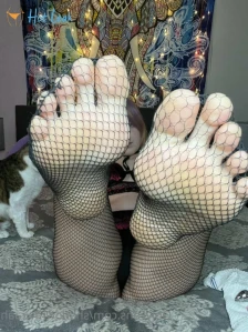 5266654