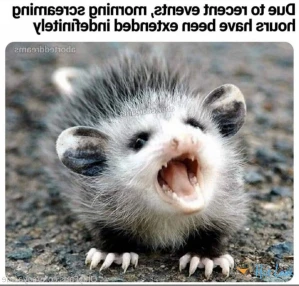 4934565