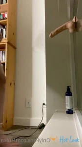 10559647
